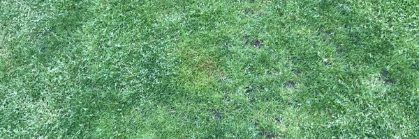 TrueGrassroot Profile Banner