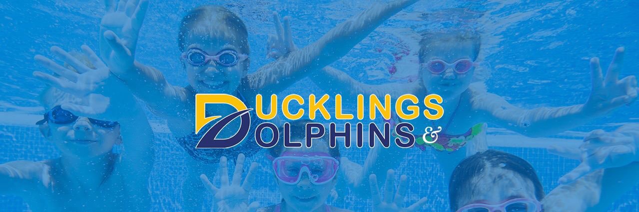 DucklingsAndD's profile banner image