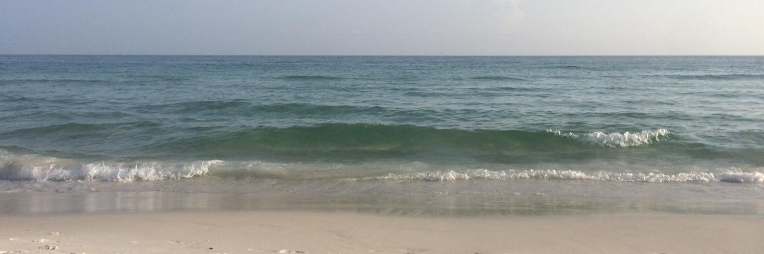 angiemhampton's profile banner image