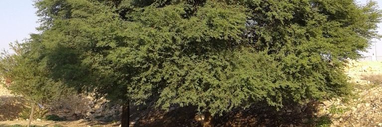maherasd77's profile banner image