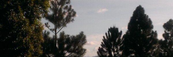 MarlonMusali Profile Banner