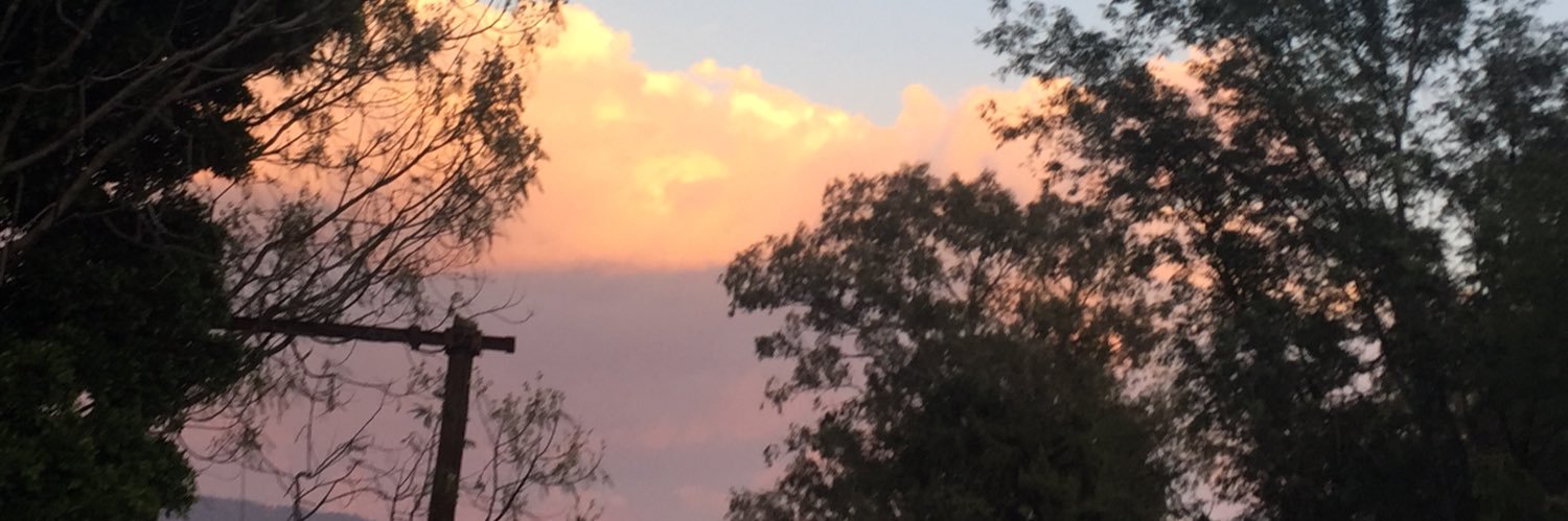 Brihdzv's profile banner image