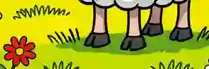 AmnaAlturki_'s profile banner image