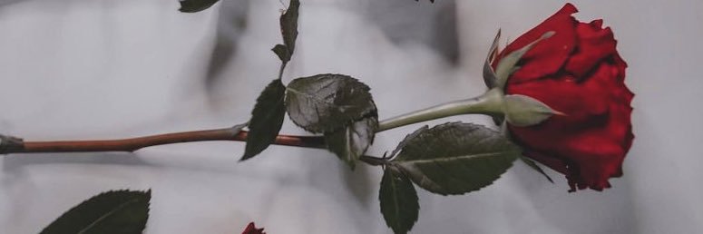 Emani_19's profile banner image
