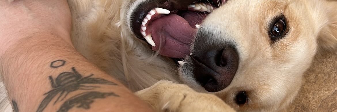 biapachecoo's profile banner image
