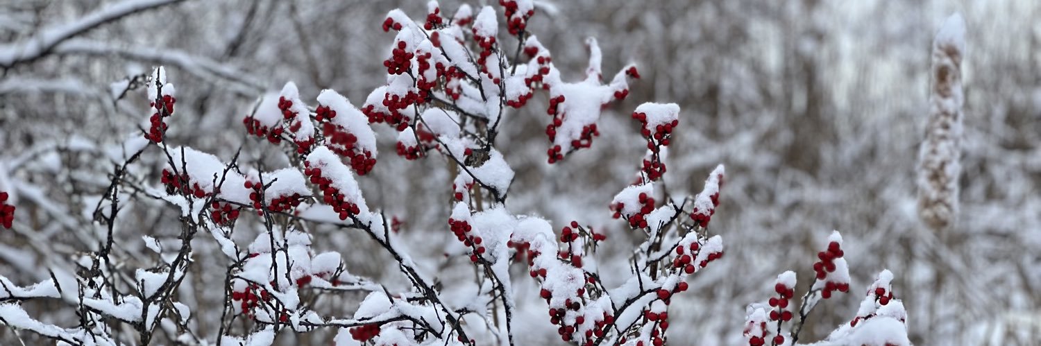 praying mama jz banner