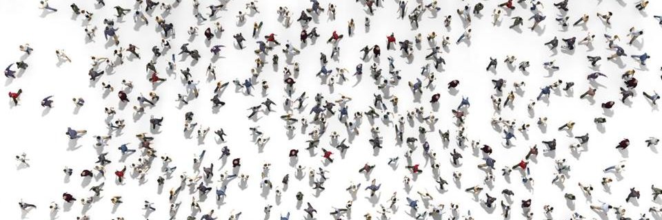 nicolas fay banner