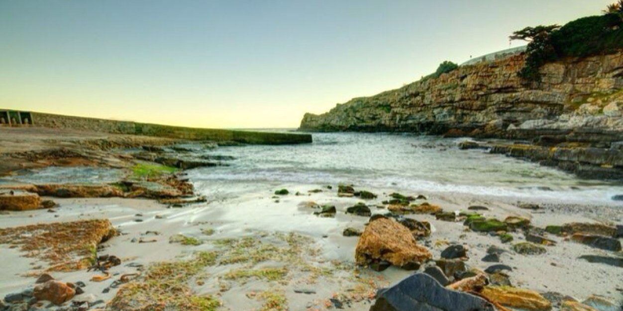 Lisa Volbrecht banner