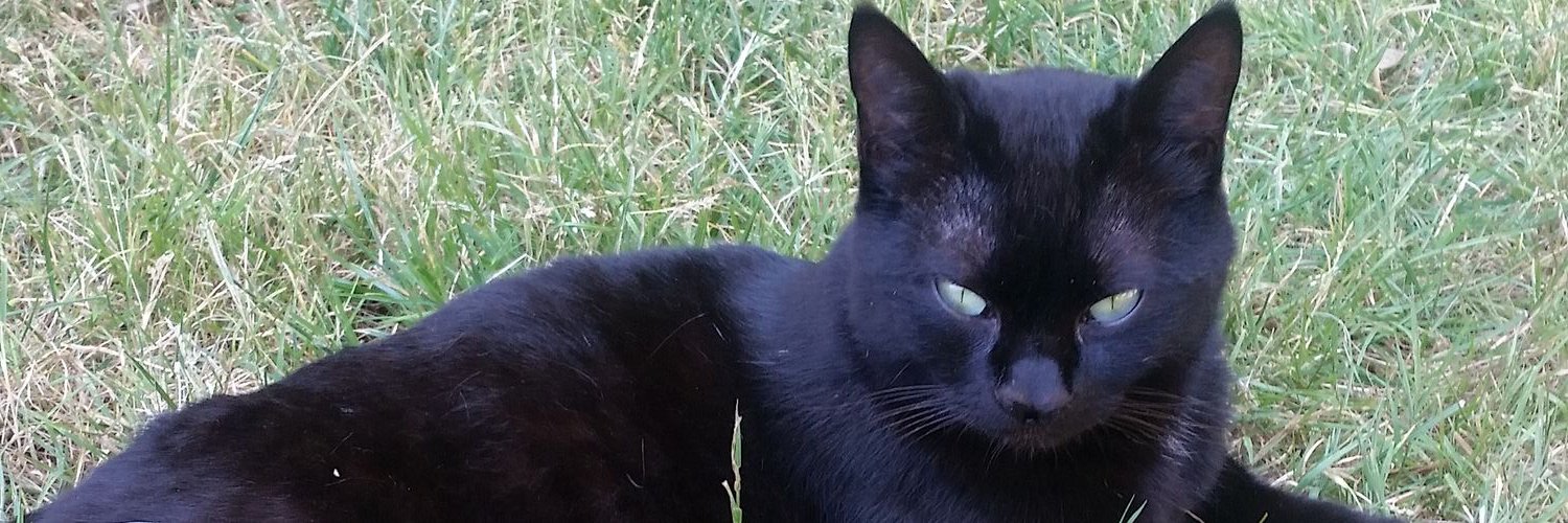MathildeLoyal's profile banner image