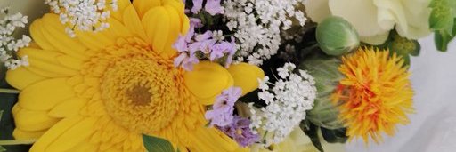 ちょこみるく＠バランス良く食べて動いてダイエット＆脂肪肝克服 banner