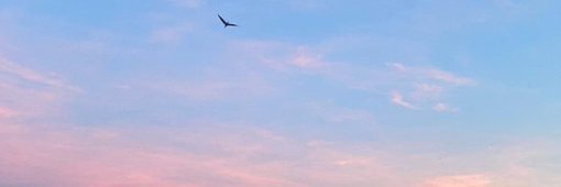 goingnowhere__'s profile banner image