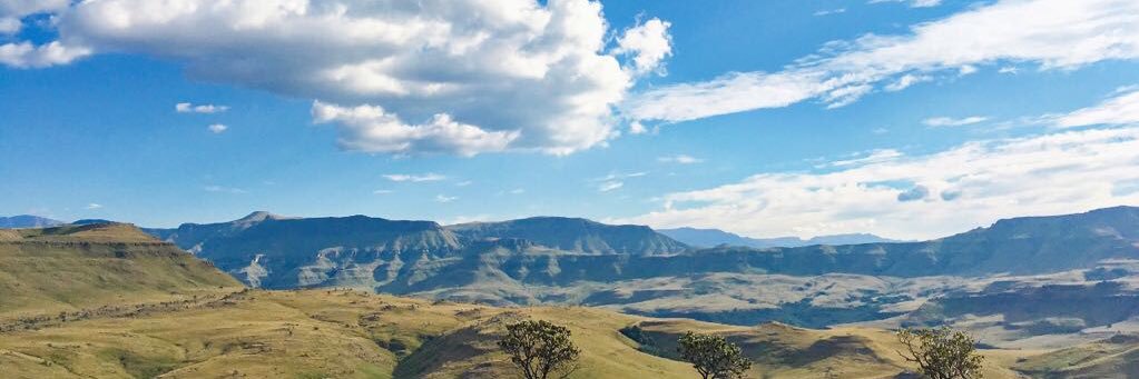 Morne Oosthuizen banner