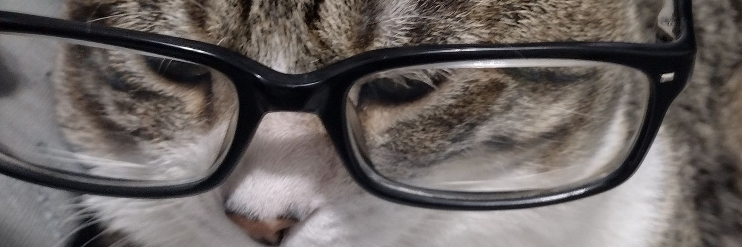 Teebbers's profile banner image