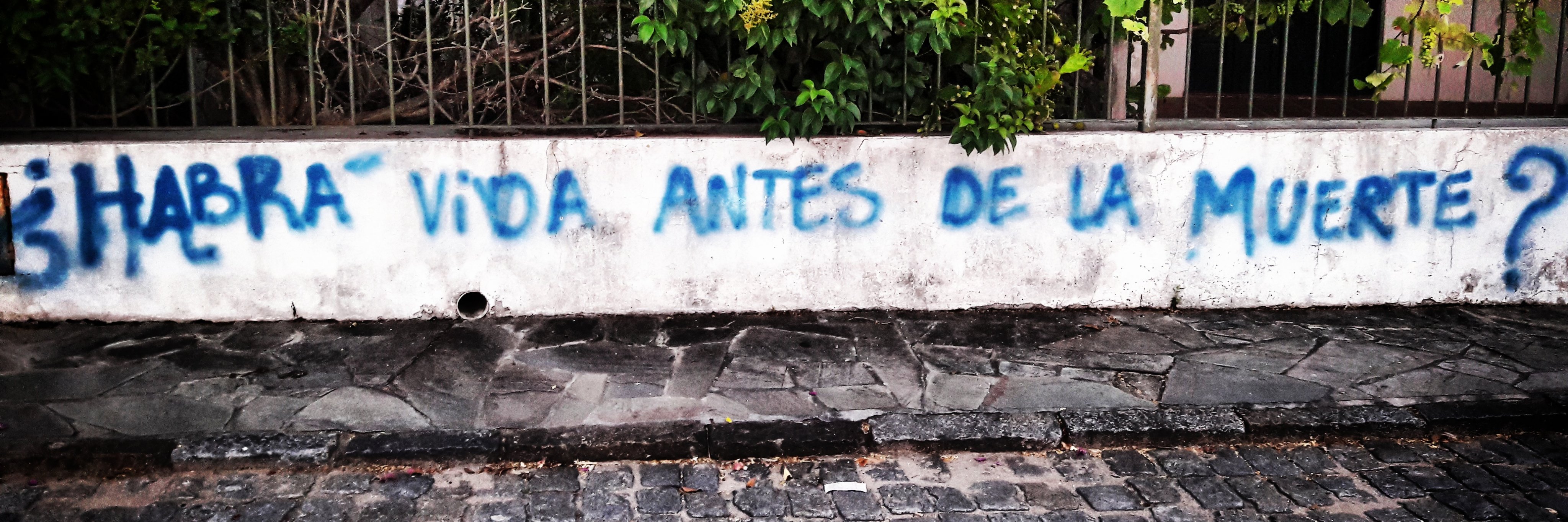 RogoBarrios's profile banner image