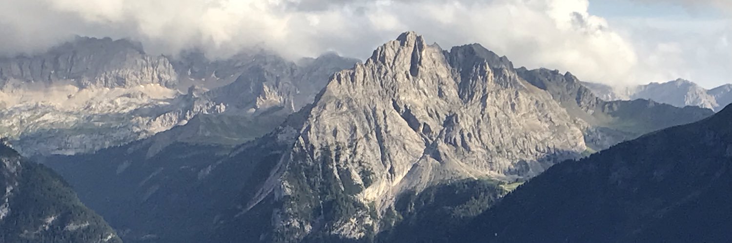 TreegliaAlex's profile banner image