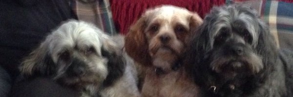 HolstRichard Profile Banner