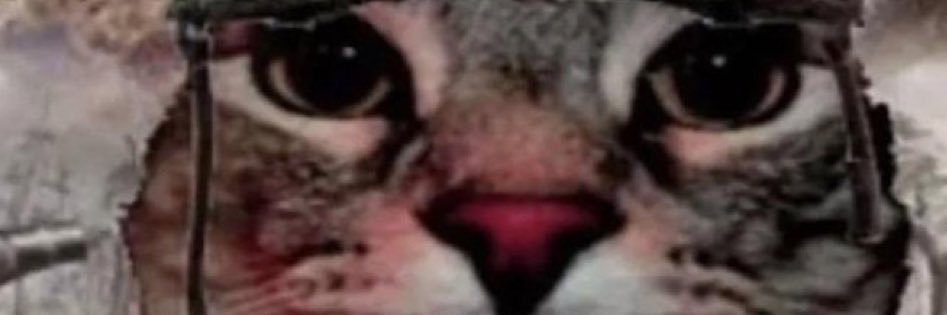 lligatoe_87's profile banner image