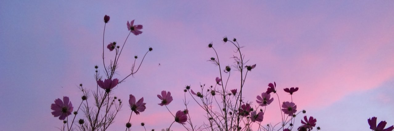 ashcassh_'s profile banner image