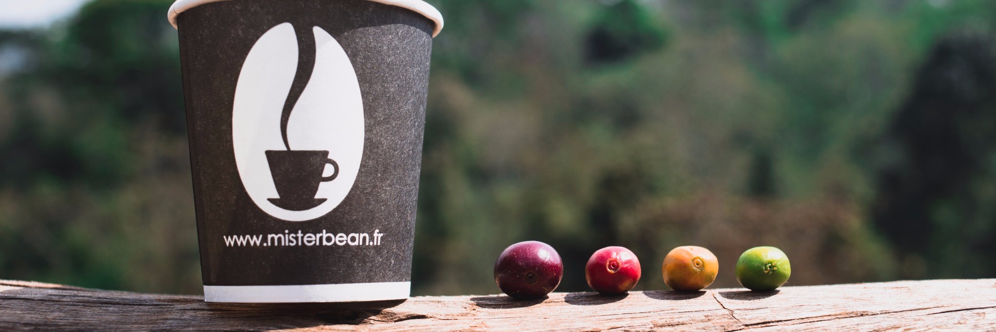 MisterbeanCafe's profile banner image