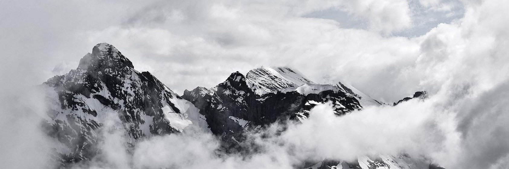 Amazee's profile banner image