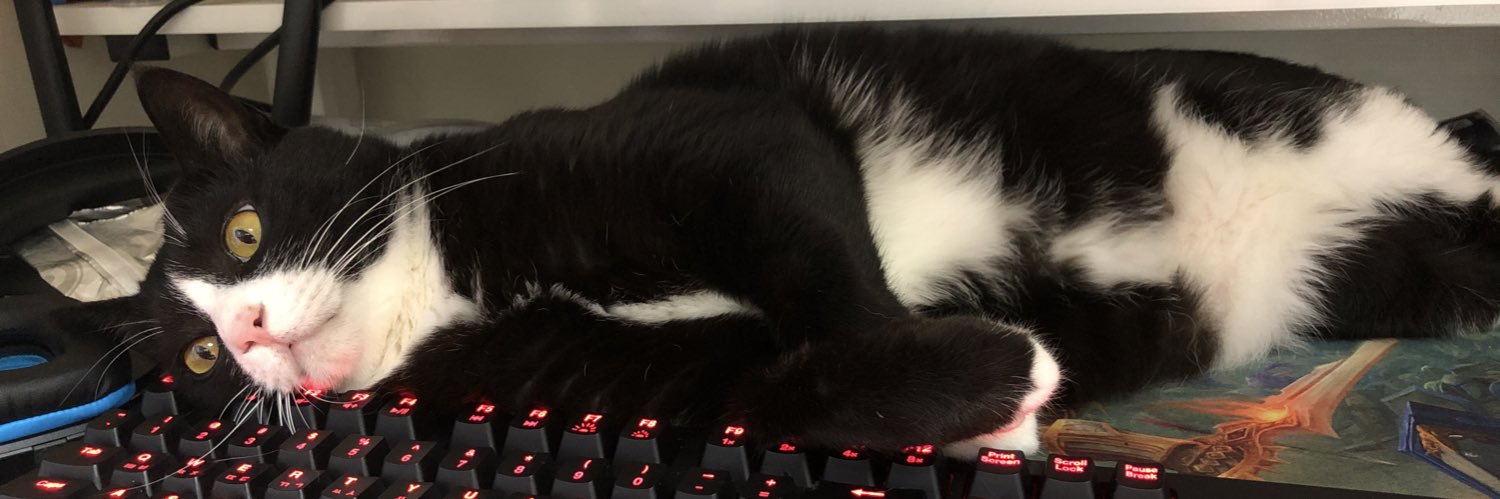 타락한 여우 펠리치 banner