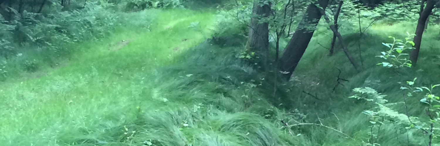 MrBatesSucks's profile banner image