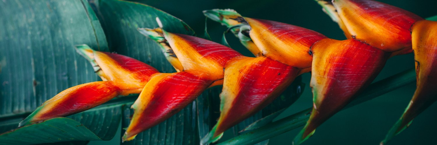 Movement Consulting banner