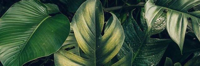 HDjackie2771's profile banner image
