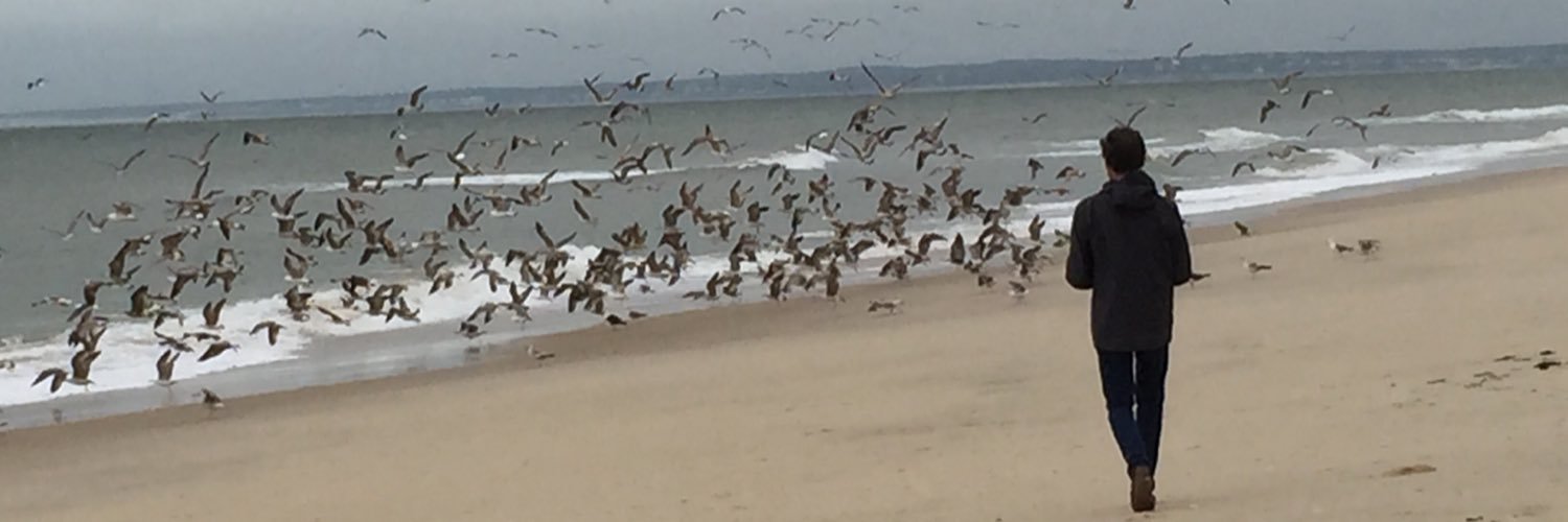 Patrick FELIX banner