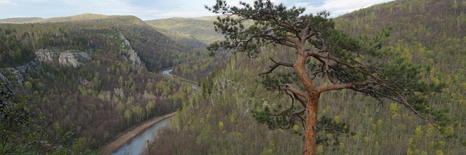 arturstasevich's profile banner image