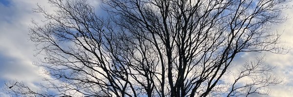 PatriceECCC Profile Banner