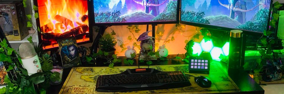 Rabbit 🌿 | Gamer banner