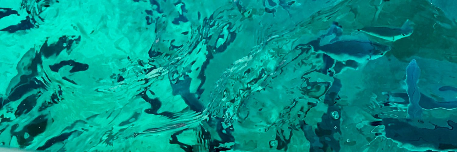 Antonio Servera banner