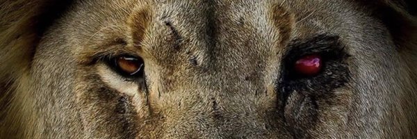 C_McCullough22 Profile Banner