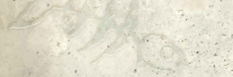 FishstoneInc's profile banner image