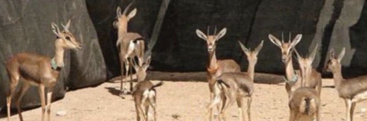 _5vx_'s profile banner image