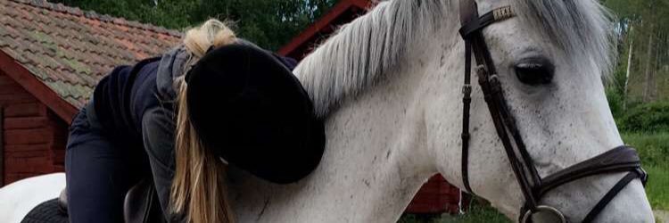 ellaanilsen's profile banner image