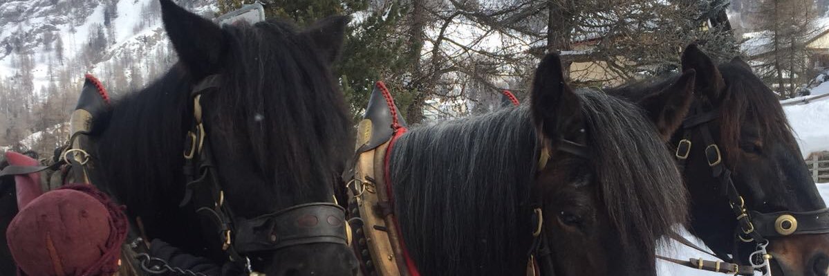 casparfrey's profile banner image