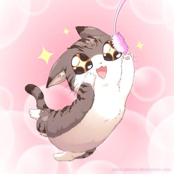 loves_potato's profile banner image