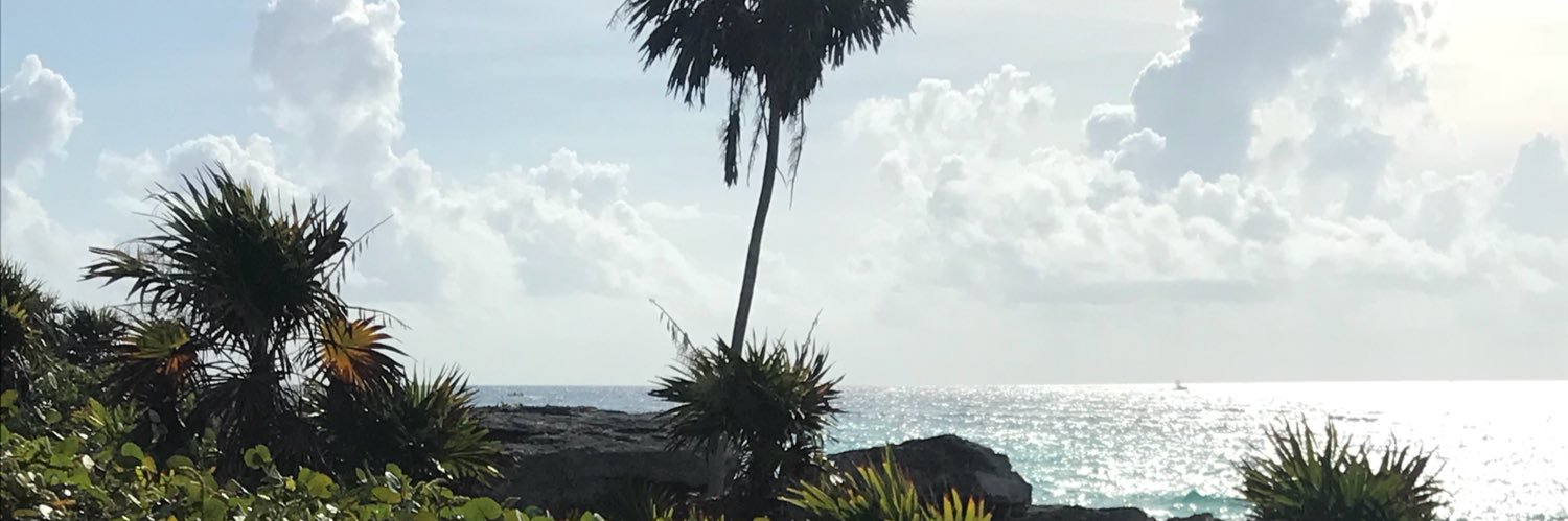 OhnestyM's profile banner image