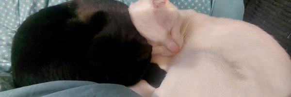 EstePablon Profile Banner