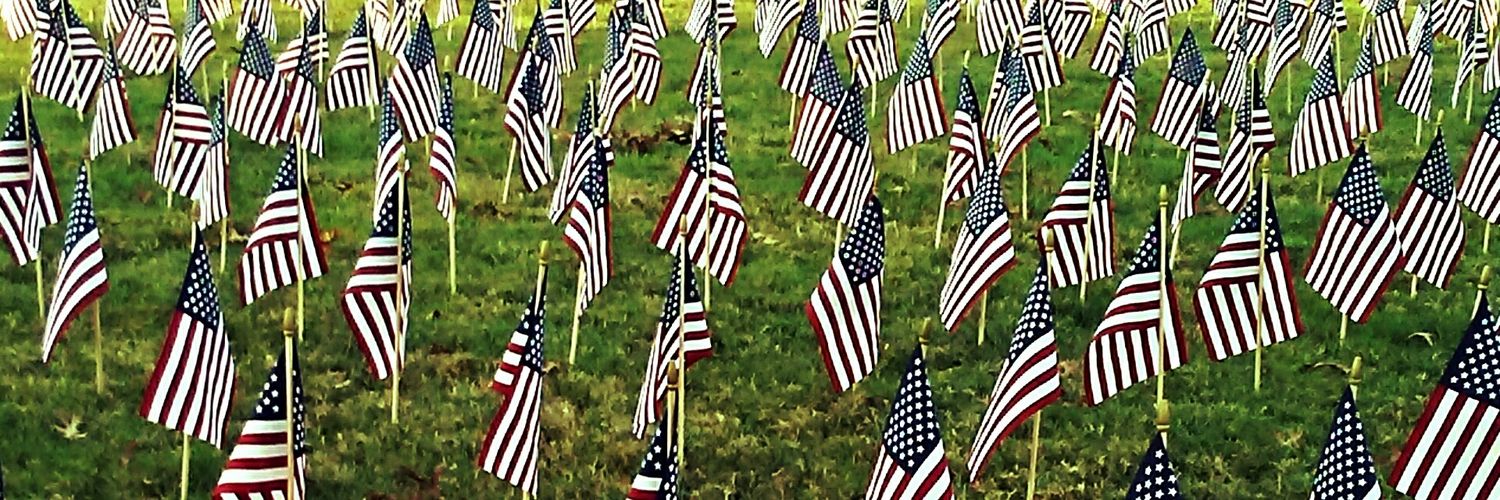 RidiculouslySpoiledCat banner