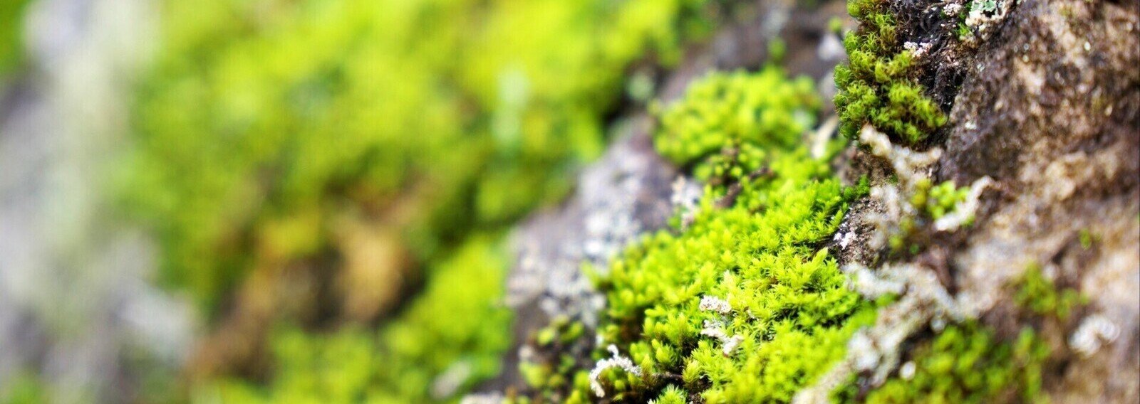 Ria_Menorca's profile banner image