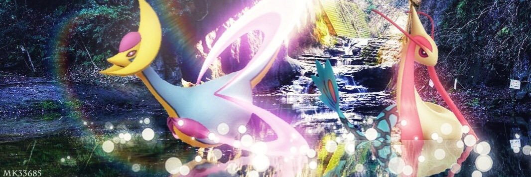 PokemonClub_HCU's profile banner image