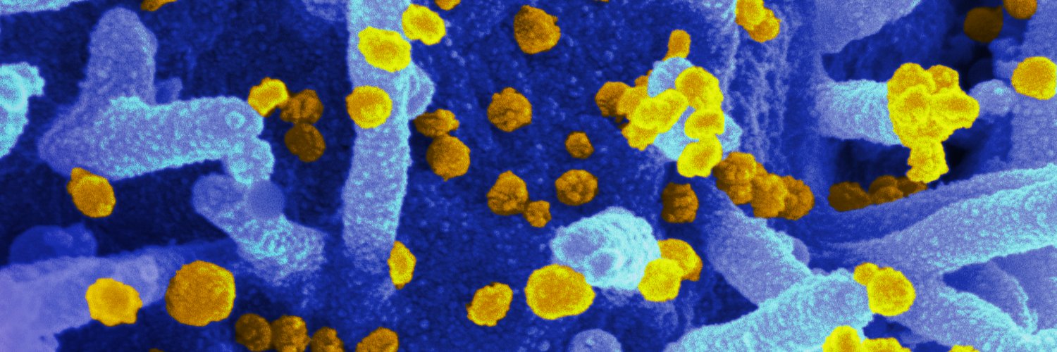 Vicky Avanzato banner