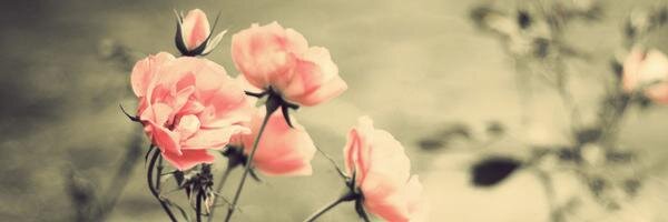 Samantha Villegas banner