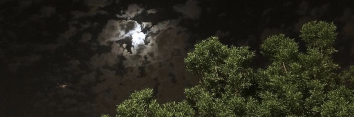 Oh_alq's profile banner image
