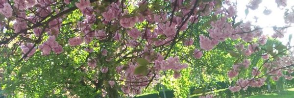 TuffersTests Profile Banner