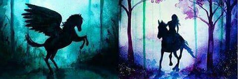 wilbomi's profile banner image