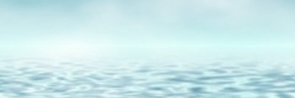 SofieVarrewaere's profile banner image